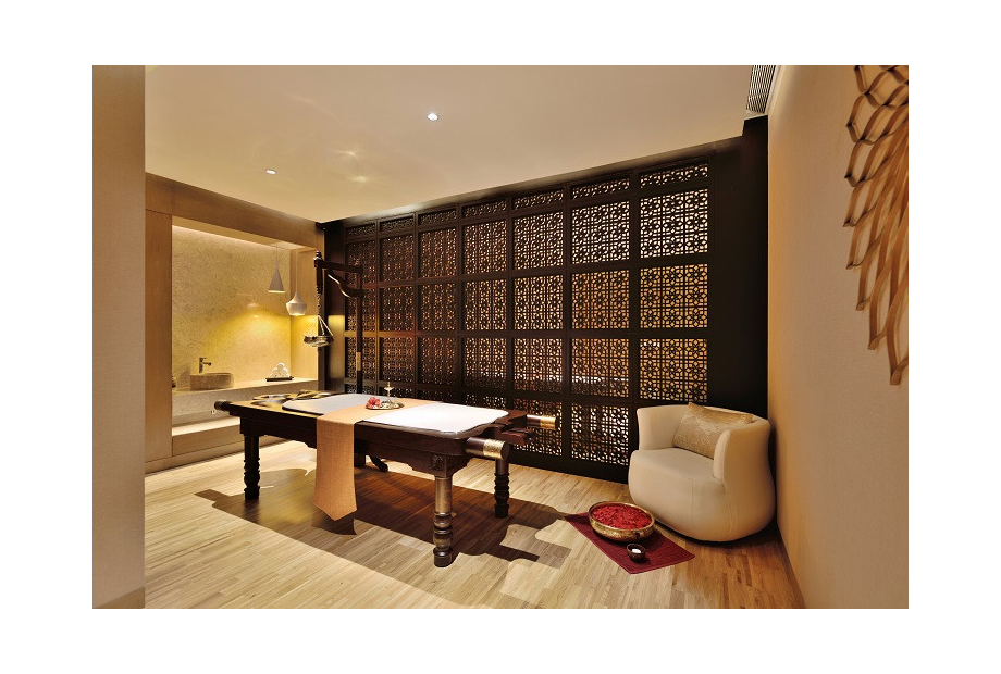 Spa Vision extends portfolio